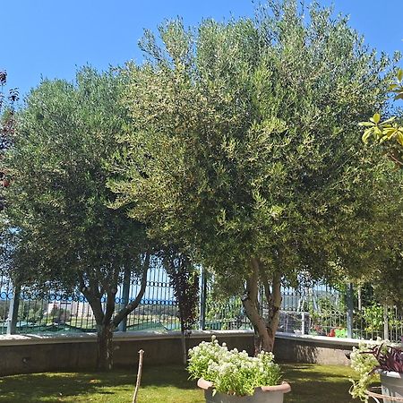 Villa Luiss Panorama Durrës Zewnętrze zdjęcie