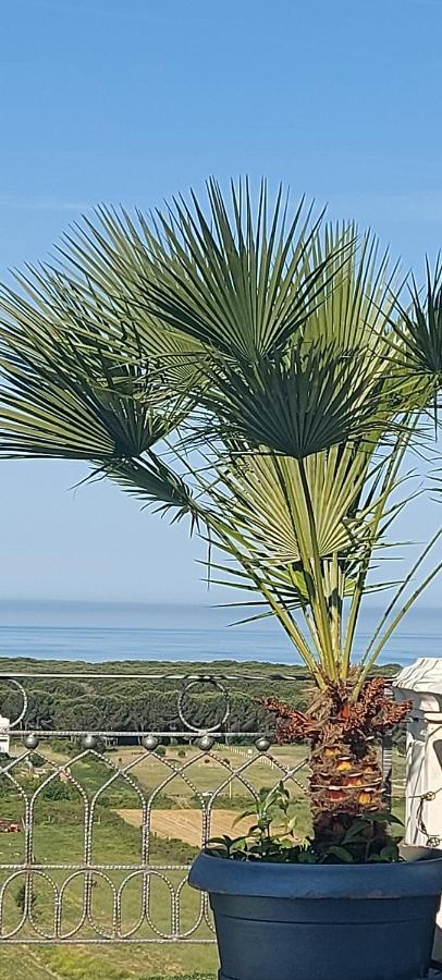 Villa Luiss Panorama Durrës Zewnętrze zdjęcie