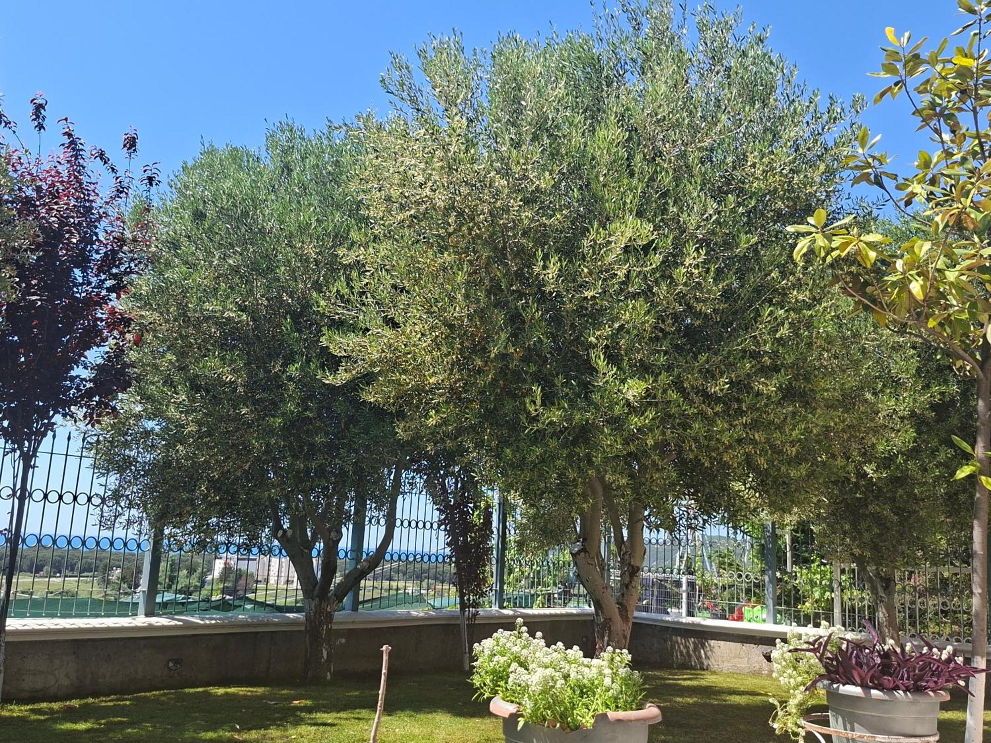 Villa Luiss Panorama Durrës Zewnętrze zdjęcie